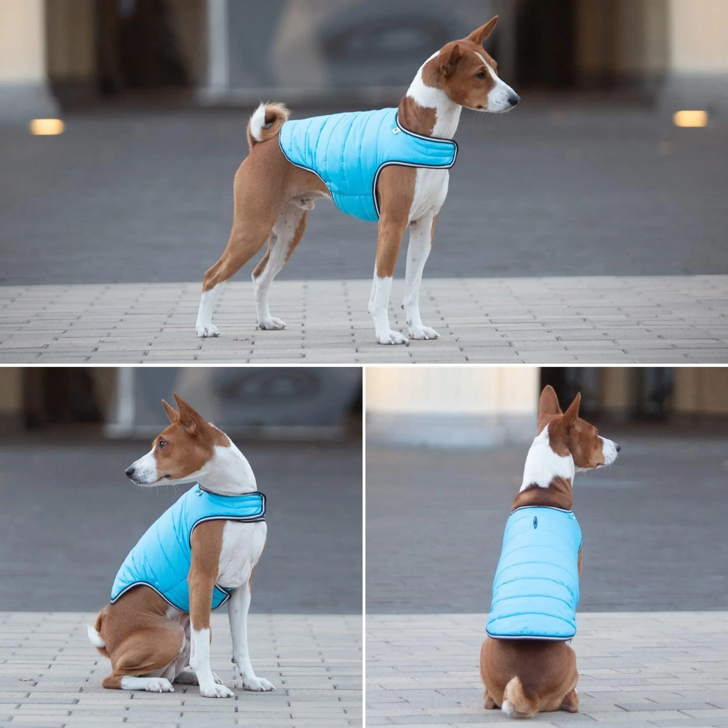 Dog Winter Coat for Xsmall Dogs Blue Waterproof Dog Warm Jacket XS Size