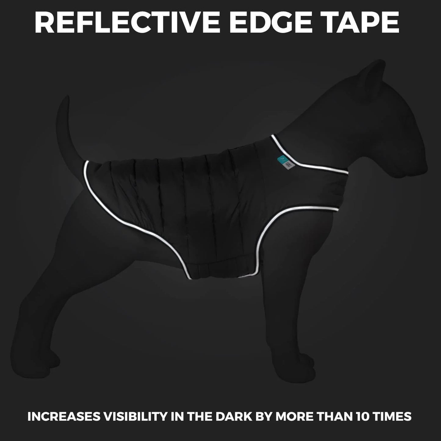 Dog Winter Coat for Xsmall Dogs Blue Waterproof Dog Warm Jacket XS Size