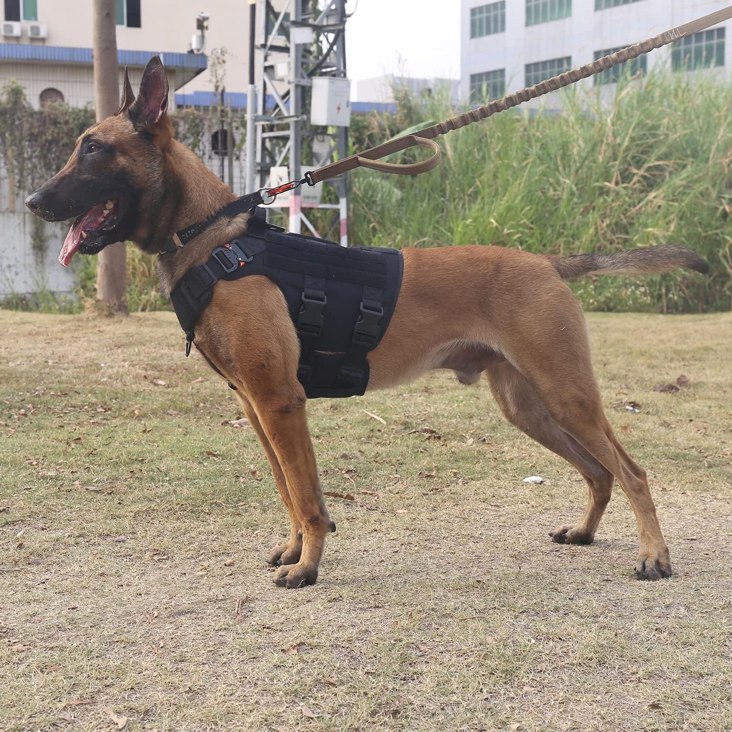 GN5 Tactical Dog Harness for X-Large Sized Dogs,Hook and Loop Panels,Walking Training Work Dog MOLLE Vest with Handle,No Pulling Front Leash Clip (XL :Chest:32"-39", Black)