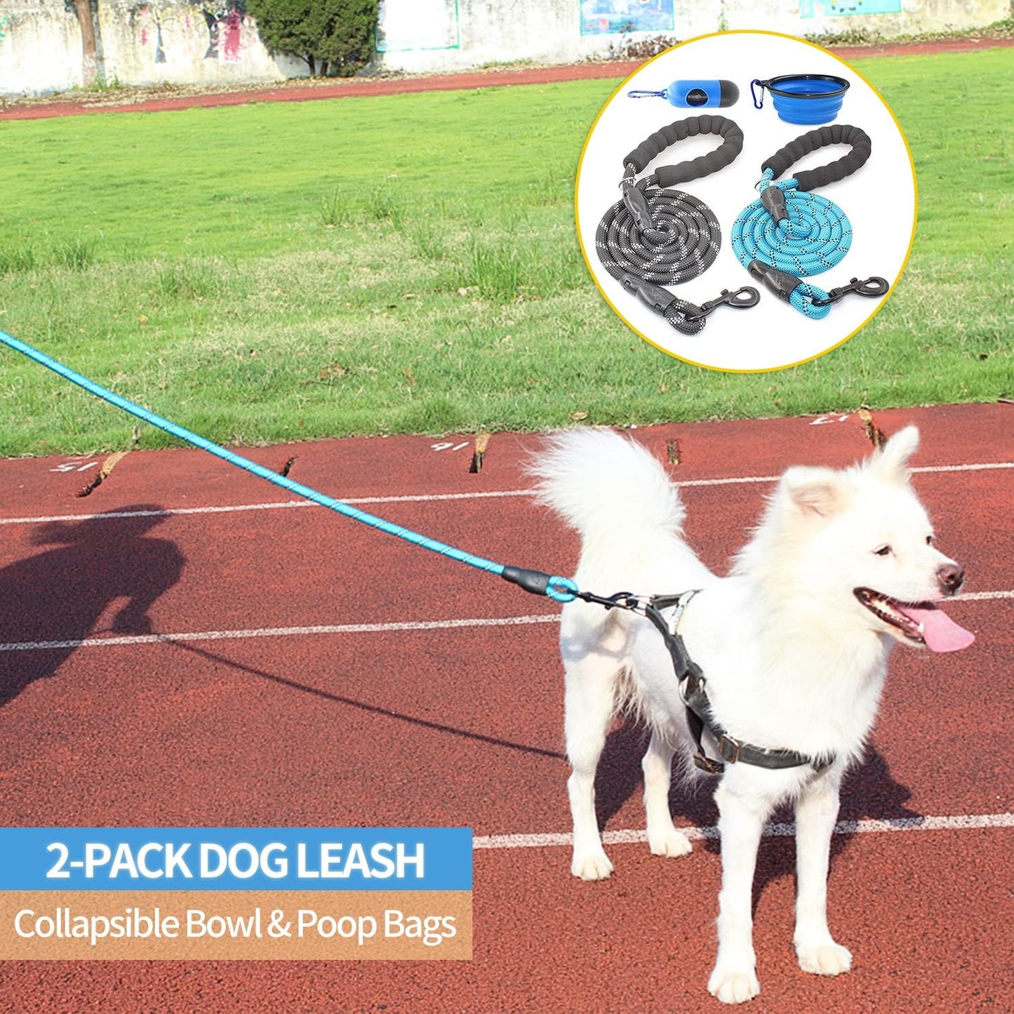 2 Packs 5/6 FT Dog Leash with Comfortable Padded Handle and Highly Reflective Threads Dog Leashes for Small Medium and Large Dogs (5FT-1/2'', Black+Blue)