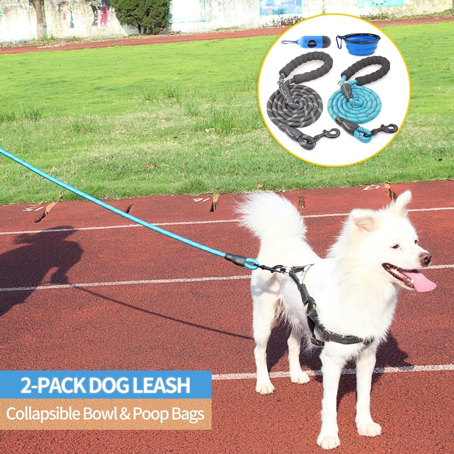 2 Packs 5/6 FT Dog Leash with Comfortable Padded Handle and Highly Reflective Threads Dog Leashes for Small Medium and Large Dogs (5FT-1/2'', Black+Blue)