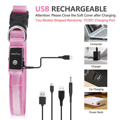 Light up LED Dog Collar, Waterproof Rechargeable for Night Walking RGB Colorful Adjustable Safety Dog Collar for Medium Dogs (Pink)