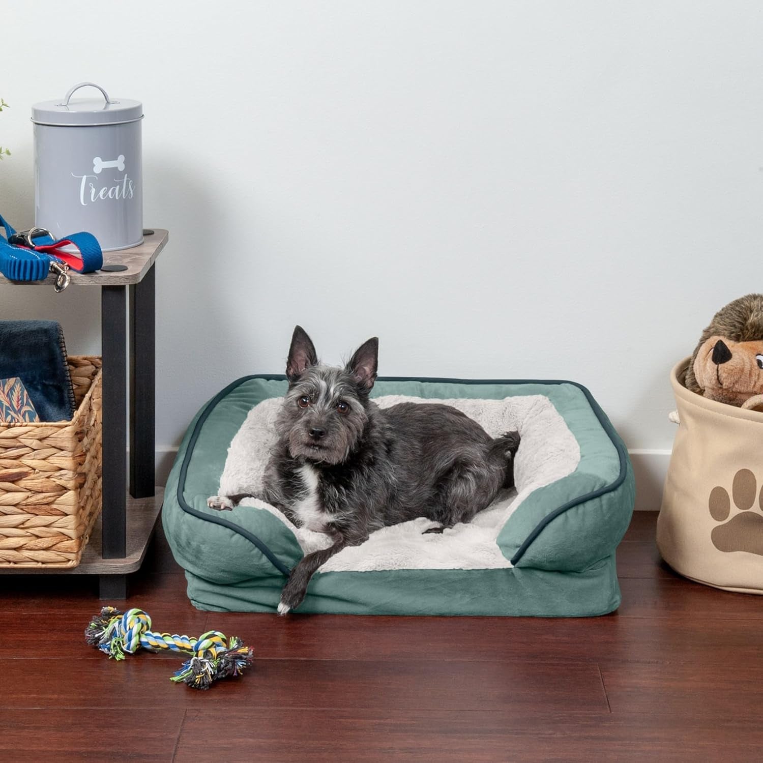 Orthopedic Dog Bed for Small Dogs W/ Removable Bolsters & Washable Cover, for Dogs up to 20 Lbs - Plush & Velvet Waves Perfect Comfort Sofa - Celadon Green, Small