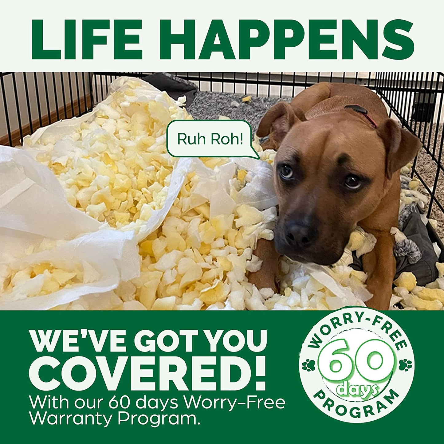 Orthopedic Dog Bed for Small Dogs W/ Removable Bolsters & Washable Cover, for Dogs up to 20 Lbs - Plush & Velvet Waves Perfect Comfort Sofa - Celadon Green, Small