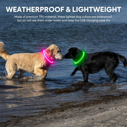 Led Dog Collar - Waterproof Lighted Pet Collar Rechargeable for Night, TPU Cuttable Light up Doggie Collar for Small, Medium, Large Dogs Walking (Green)